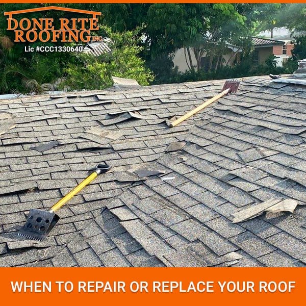 When To Repair Or Replace Your Roof Done Rite Roofing Clearwater