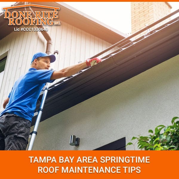 Tampa Bay Area Springtime Roof Maintenance Tips | Done Rite Roofing ...